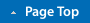 PageTop