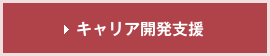 キャリア開発支援