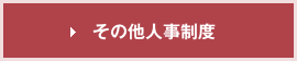その他人事制度
